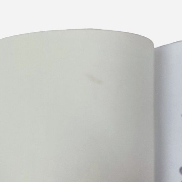 2009 Connecting with Your Guardian Angel by Sandra L Lerner Paperback Spiritual - Picture 9 of 14